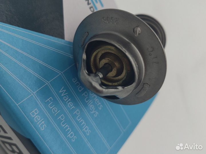 Термостат Thermo King