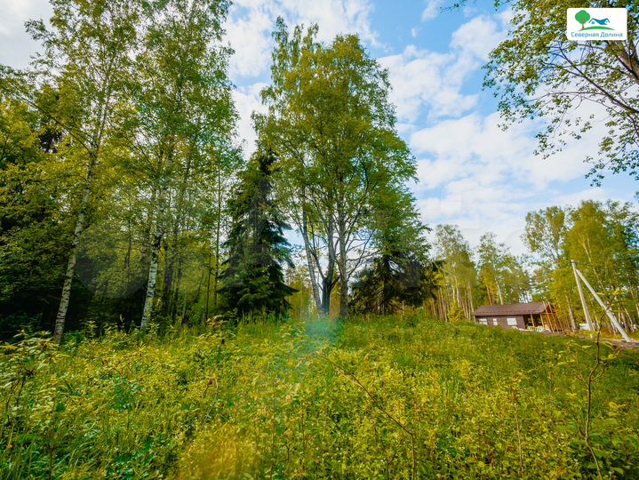 Участок 8 сот. (СНТ, ДНП)