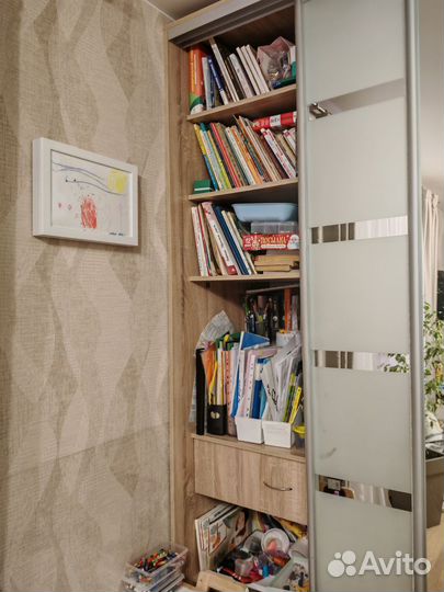 Шкаф купе Бу с зеркалами большой