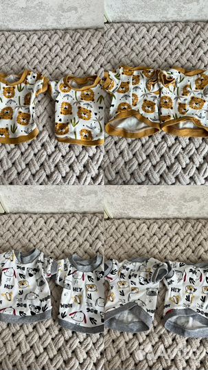 Одежда для собак