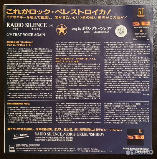 Борис Гребенщиков - Radio Silence 7