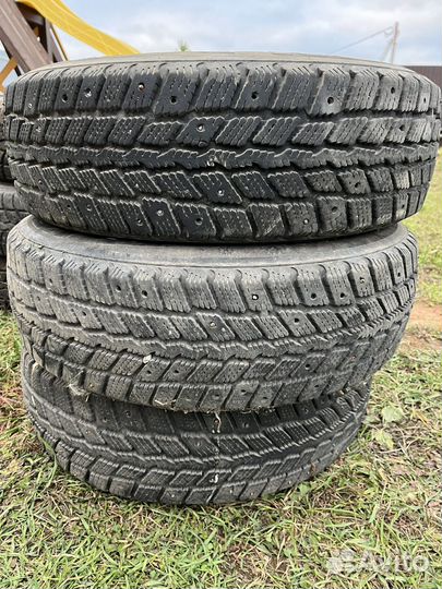 Nexen Winguard 231 175/70 R13