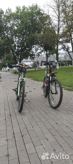 Прокат Велосипедов с детским велокреслом