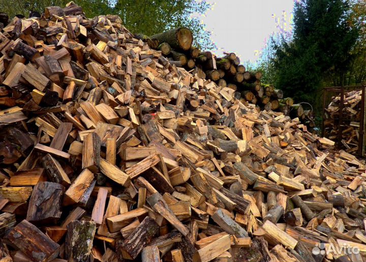 Дрова в СПБ