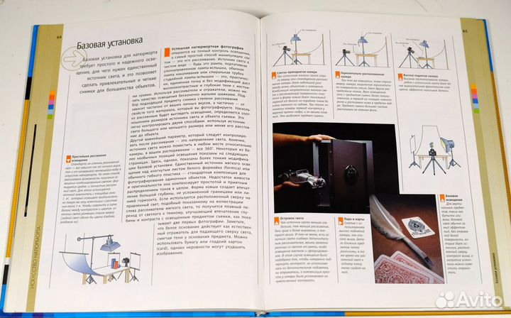 Крупный план. Цифровая фотография. Майкл Фриман