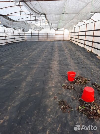 Теплица 24на 10. Трубы 32-ые. 75тысяч