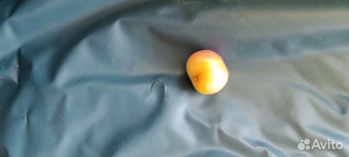 Тент для бассейна 366 бу