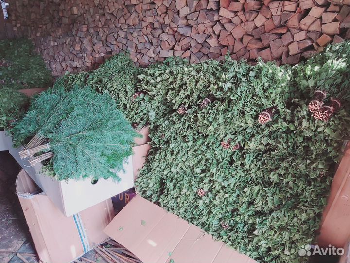 Березовые веники