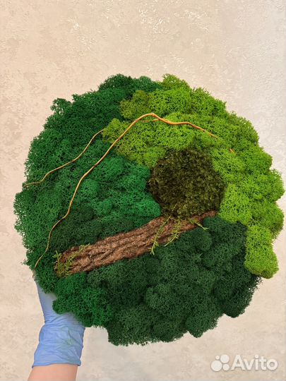 Картина из стабилизированного мха