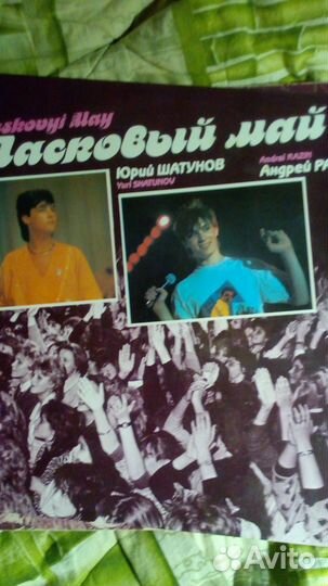 Виниловые пластинки