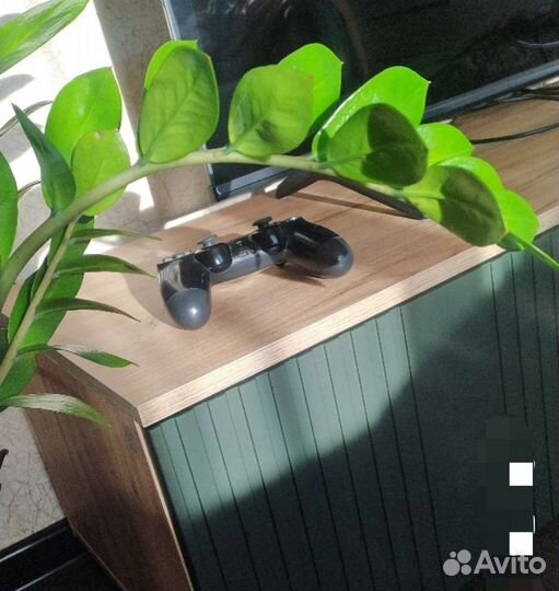 Тумба под телевизор Милан олива