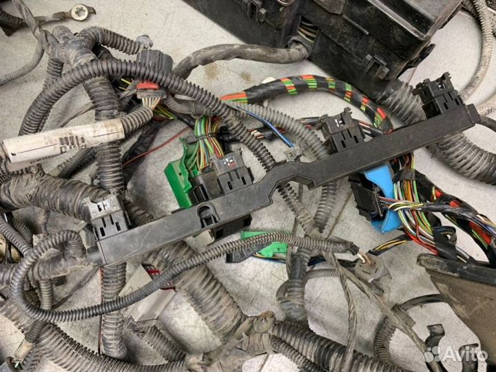 Подкапотная коса Ford Focus 2 седан 1.6 hwdb 2005