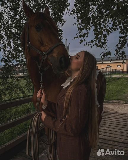 Лошадь для фотосессии