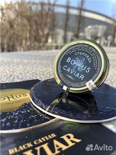 Черная икра