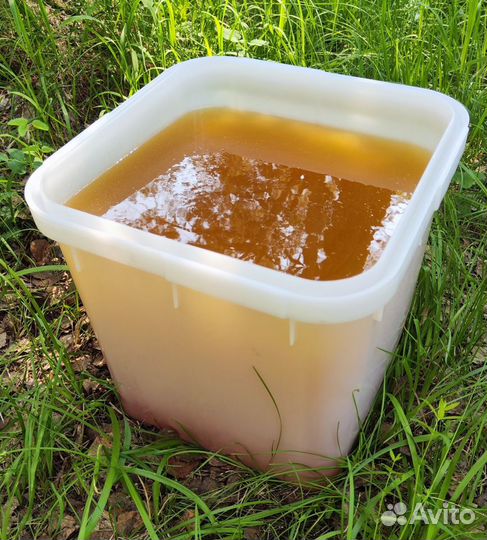 Опт мёд натуральный алтайский от 16кг