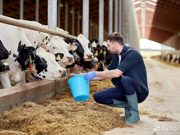 Работа скотник вахта Краснодарского края