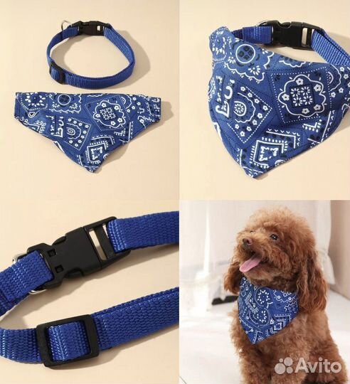 Одежда, рулетка, аксессуары для маленькой собаки