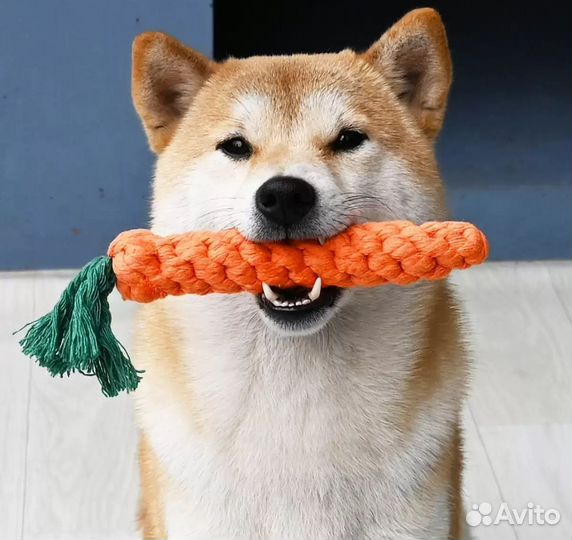 Игрушка для собак Морковка