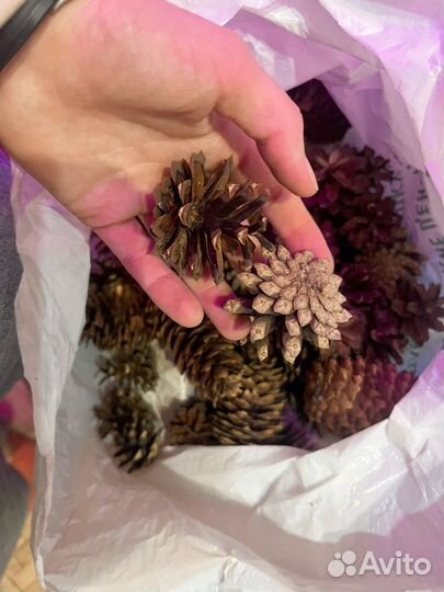 Пакет шишек