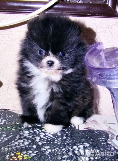 Нарядная малышка