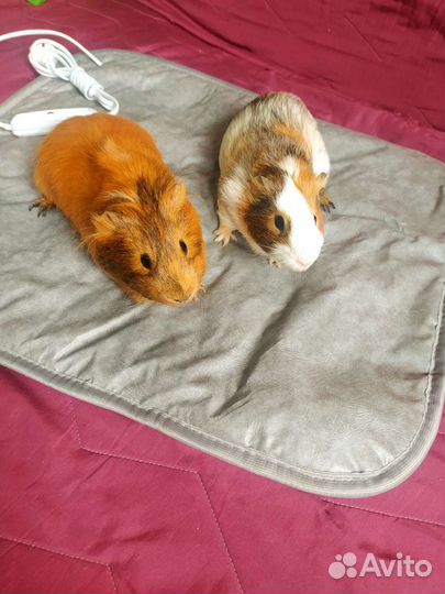 Термоковрик с регулировкой