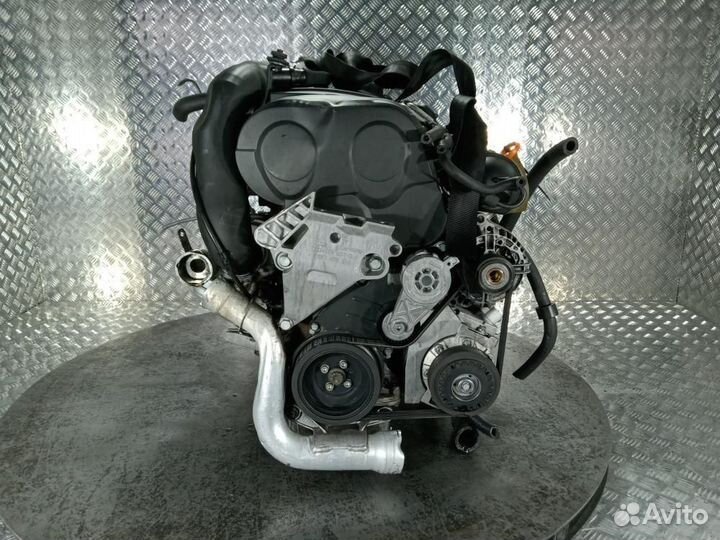 Двигатель Volkswagen Golf 5 (03-09) BKD