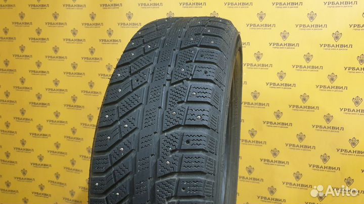 Brasa IceControl 225/65 R17 106T