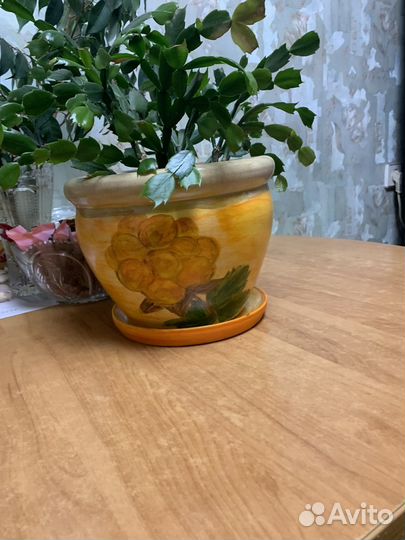 Цветочный горшок (глинянный)