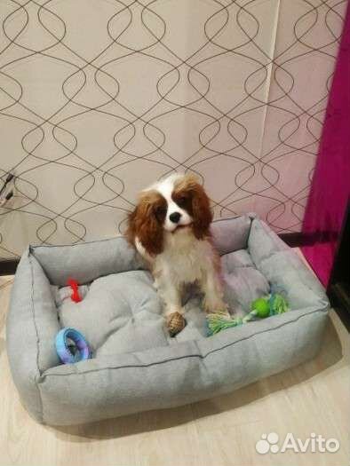 Лежанка для собаки и кошки + игрушка в подарок