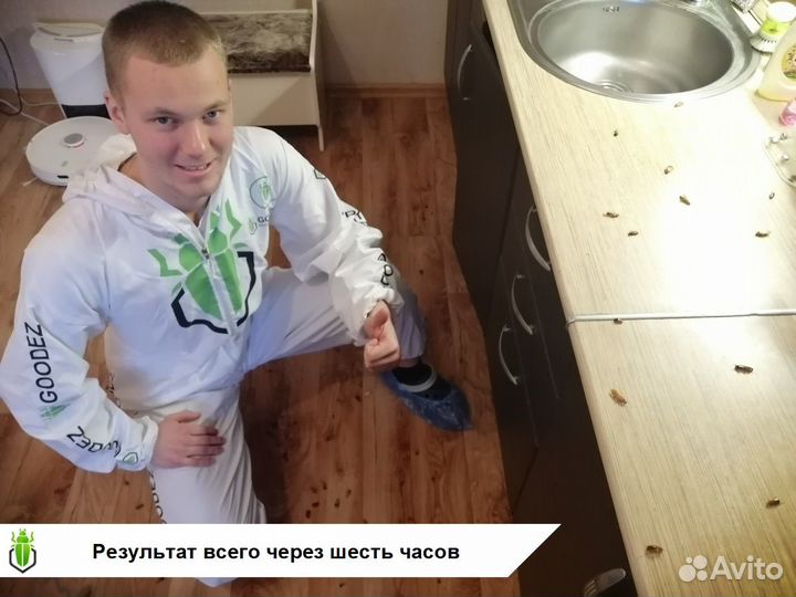 Уничтожение тараканов клопов муравьев дезинфекция