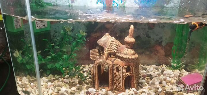 Аквариум