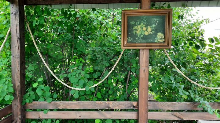 Участок 6,3 сот. (СНТ, ДНП)