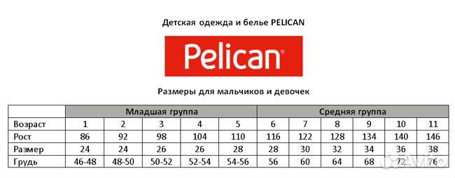 Спортивный костюм Пеликан новый рост 110