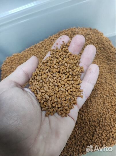 Пеллетс карповый для рыбалки