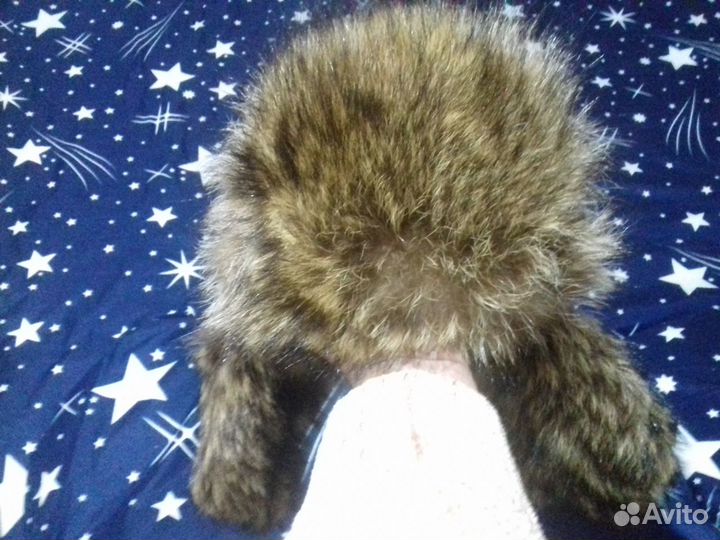 Мужская шапка натуралка мех енот/кожа