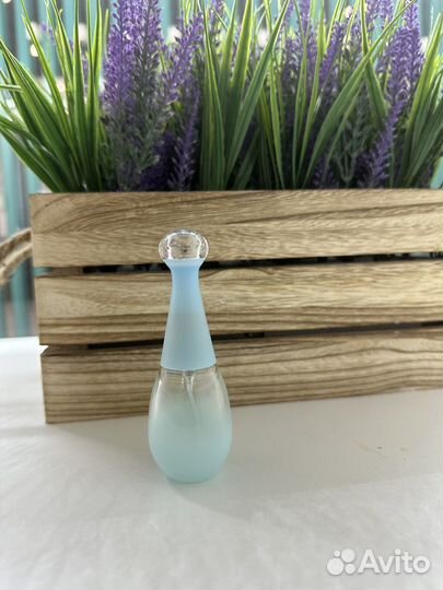 Antonio banderas blue seduction