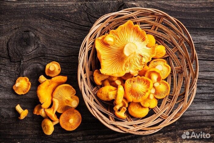 Грибы лисички