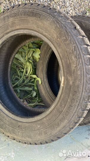 Nokian Tyres Nordman 5 185/65 R14