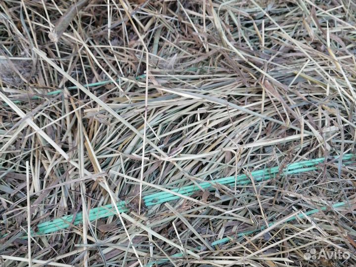 Сено в рулонах 2023