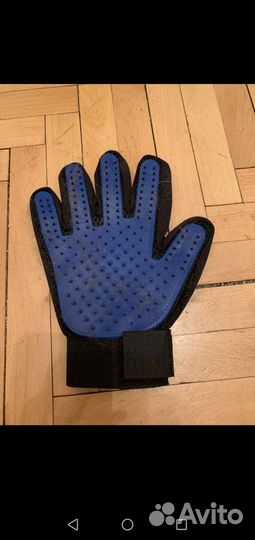 Миска и одежда для кошек, переноска