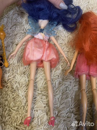 Winx
