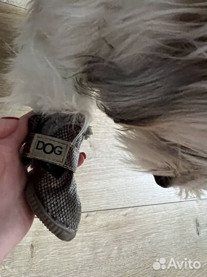 Ботинки на собаку