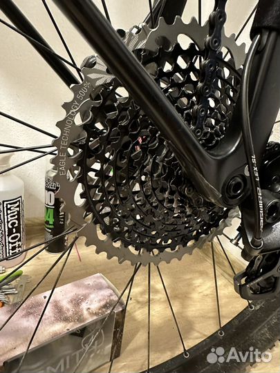 Stinger Genesis EVO STD 29 2021