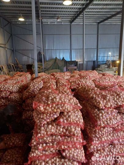 Стардаст Лук на перо