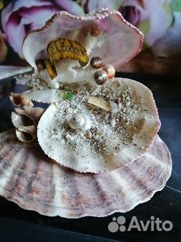 Ракушка сувенир. Украшение из ракушек