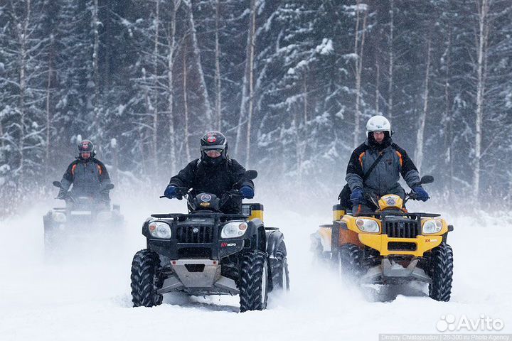 Сидушка для сноуборда и лыж туристическая шорты