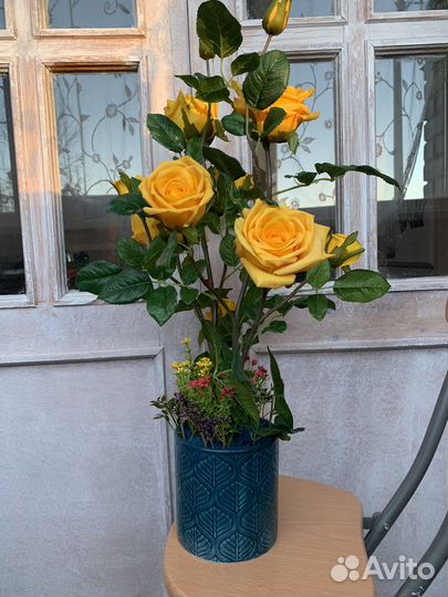 Розовый куст