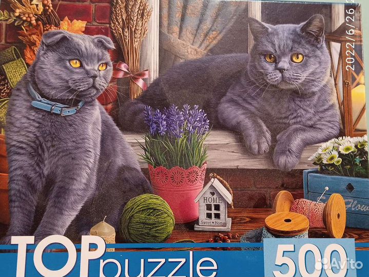 Пазл 500