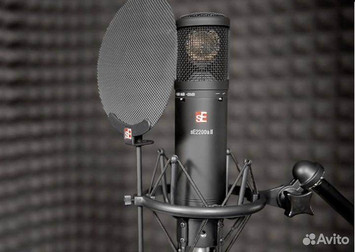 SE electronics SE 2200 - конденсаторный микрофон