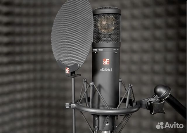 SE electronics SE 2200 - конденсаторный микрофон